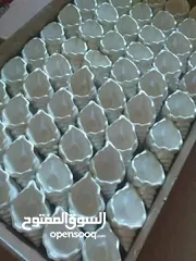  8 توزيعات جبسية لطيفة 12حبة ب3دنانير