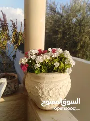 25 قوار حجر صناعي