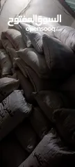  7 تبن احمر بيقيا صافي وحب بيقيا