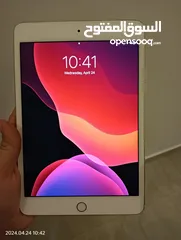  2 ipad mini 4