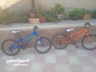  6 بسكليت نمره 20