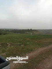  17 ارض سكنيه قرب مثلث حور فوعرا للبيع بسعر مغري