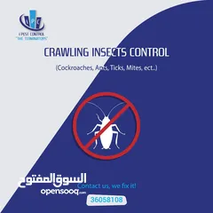  9 Best Offer - Pest Control Service - i Pest Control Bahrain