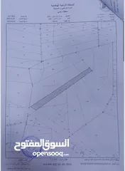 1 25 دنم للبيع على جسر نعيمة الشارع الرائسي