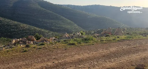  11 قطعة أرض للبيع من أراضي بلدة سنجل منطقة غرابة، مطلة على الساحل، منطقة A، قوشان طابو سلطة مستقل