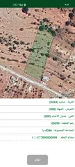  7 ارض للبيع في محافظة عجلون - صخرة