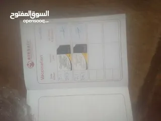  3 كلب ذكر فرنسي