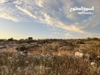  3 ارض للبيع في قفين منطقة فراسين