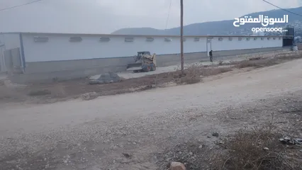  2 يتوفر لدينا بركس دجاج لاحم مغلق للبيع