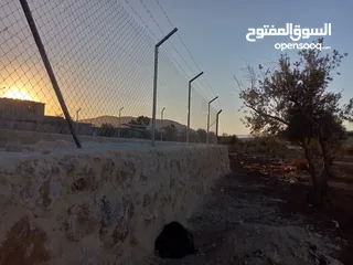  3 تشيك مزارع