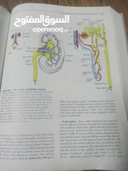  13 كتاب بعنوان biology