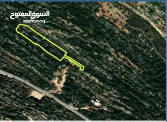  3 قطعه أرض فيها شجر زيتون  قريبه من الشارع الرئيسي مابين قراؤه ومزارعه النوباني شارع سلفيت
