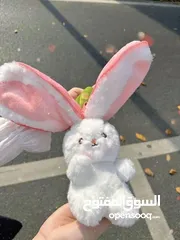  10 ارنب الفراوله والجزر  توفر بالحجمين والتوصيل مجاني