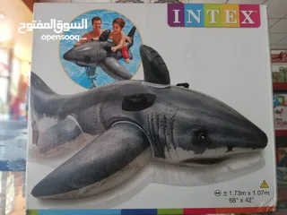  5 عجل سباحه مع مظلي من 8 إلى 15دينار