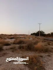  18 13دنم ابو الغزلان ناعور بالقرب من طريق دار الدواء