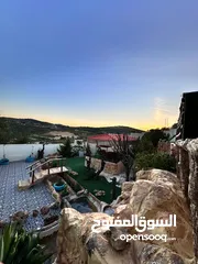 23 مزرعه واستراحه المحمود النعيمه طريق عجلون
