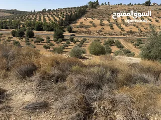  6 ارض للبيع نادرة