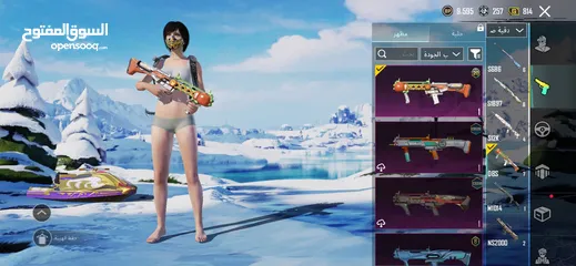  30 أحساب ببجي البيع