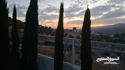  20 مزرعه شاليه للايجار على طريق عمان جرش المصطبه تبعد عن صويلح وشارع الاردن وابو نصير 20 دقيقة