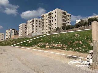  3 قطعه ارض سكنيه للبيع /شفا العامريه