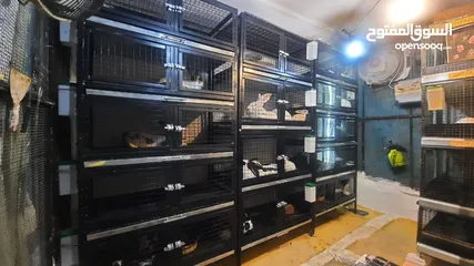  26 اقفاص وقنون تفصيل حسب طلبك كمربي ومصلحتك