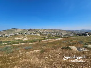  17 أرض سكنية 750 م للبيع في ام رمانه - 900 م عن شارع الأردن