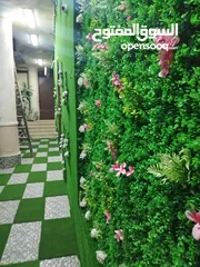  30 عشب جداري & عشب صناعي & نجيل صناعي & grass wall & wall grass & green wall