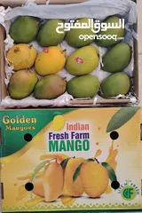  1 Indian Alphonso Mango