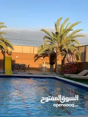  21 ڤيلا ومزرعة