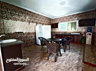  6 مزرعة بشار