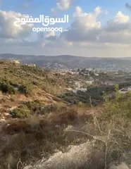  4 بسبب ظروف السفر وترك المنطقة، بدي أبيع الأرض.