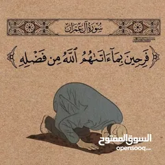  6 مدرس لغة انجليزية