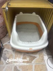  4 بيع اثنين قطط