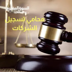  3 تأسيس انواع الشركات ومتابعة الأمور المتعلقه بها