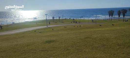  1 مكتب للايجار