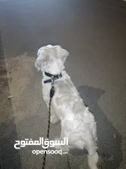  1 خبتفتفتااو