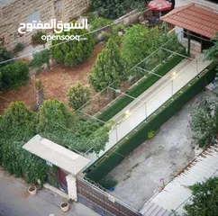  11 سكن صبايا في وسط البلد
