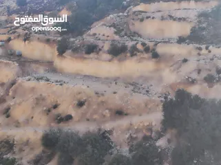  3 ارض للبيع 1000 متر طابو ابو نجيم