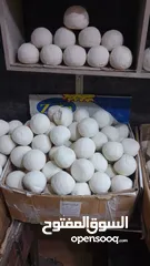  18 جميد كركي سمنه بلدي جبنة غنم