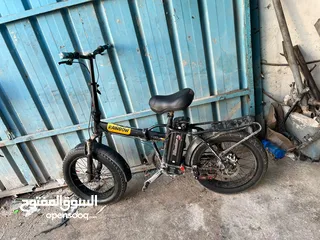  1 1200 عجل عريض