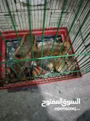  14 حاجات حلوه