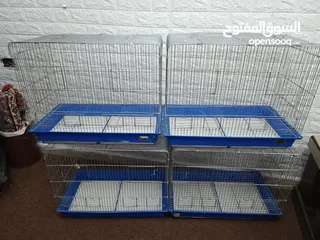  12 غرفة طيور كامله للبيع اقرأ الوصف سعر قابل للتفاوض بشكل بسيط