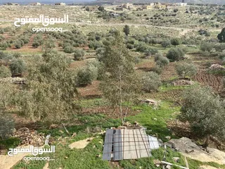  3 أرض مساحة 6دونمات مع بيت 230 متر