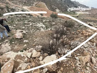  9 ارض بسعر مغري