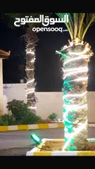  18 مزرعة للبيع بيرين منطقة الكمشة