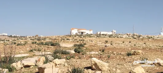  5 شفابدران 3 شوارع مرج الفرس