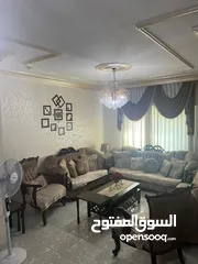  19 شقة طابق ارضي مساحة 165 متر للبيع بسعر مغري جدا