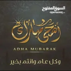  1 خرفان بلدي وروماني للاضحية اضاحي