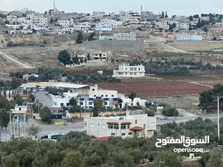  5 ارض للبيع سكنيه بجانب ترخيص جرش منبسطة مثل الكف بجانب فلل حديثه مساحة 800m مفروزه