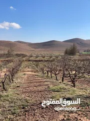  6 134-Hectare Farm for Sale in Morocco - مزرعة محفظة للبيع بمساحة 134 هكتار في منطقة ورزازات، المغرب